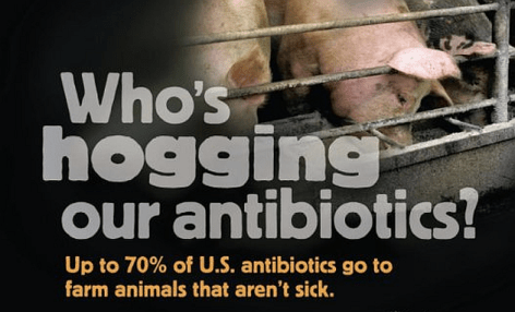 Who's Hogging Our Antibiotics Up To