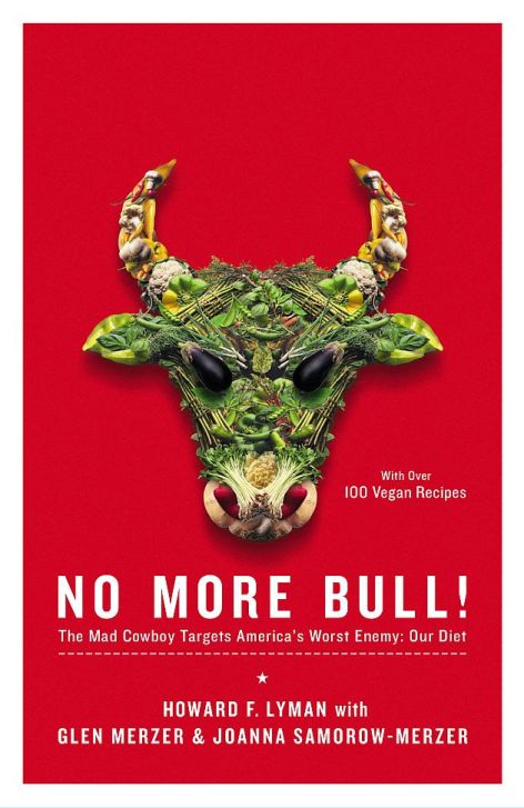 No More Bull Book Cover