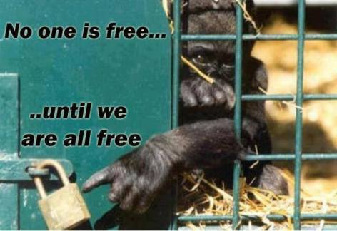 No One Is Free Until We Are All Free