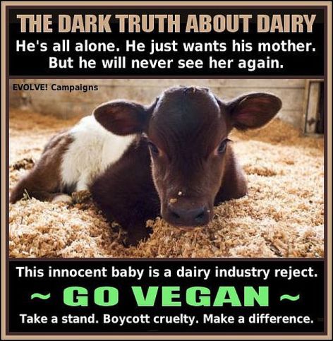 The Dark Truth About Dairy He's All Alone