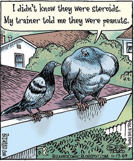 I didn't know they were steroids