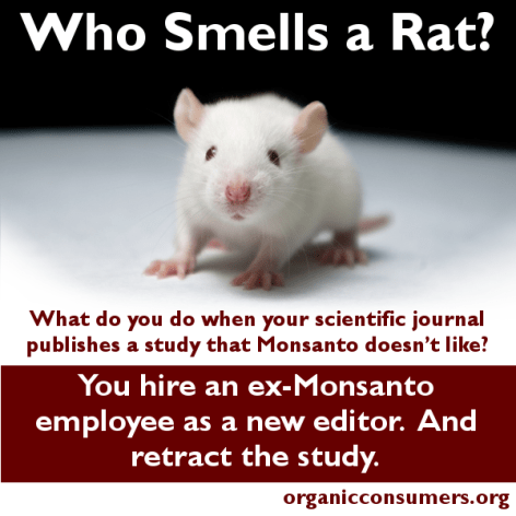 Who Smells A Rat what do you do when