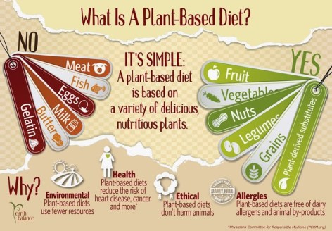 What is a plant-based diet