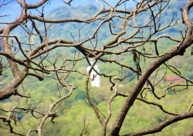 --- Sigiriya, Sri Lanka, 2015.3 | 斯里兰卡·锡吉里耶
