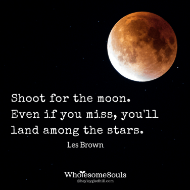 shoot-for-the-moon-even-if-you-miss-youll-land-among-the-stars-2