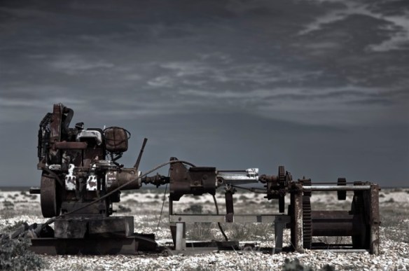 dungeness