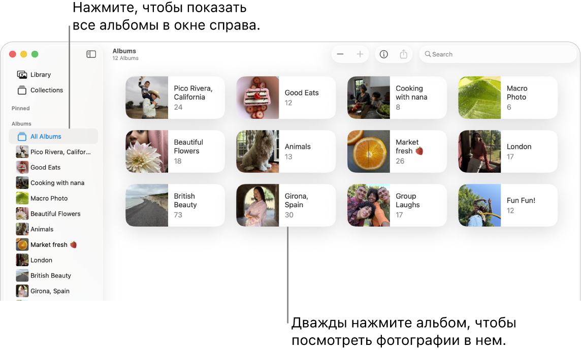 Окно приложения «Фото». В боковом меню выбран раздел «Альбомы», справа отображаются альбомы.