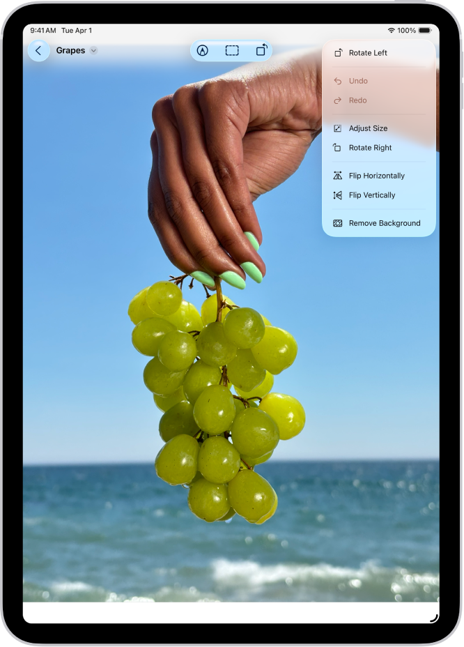 Die App „Vorschau“ zeigt ein Foto. Eine Hand, die Trauben hält, wird im Vordergrund angezeigt. Der Himmel und der Ozean befinden sich im Hintergrund.