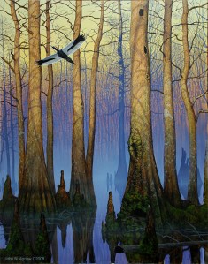 Ivorybill! This is the painting I recently finished, inspired by my experience. It is a fairly close approximation of what I saw, although the bird is also based on museum skins and published sources.