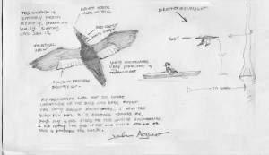 ivorybillsketch2 The sketch I made a couple of days after the sighting.