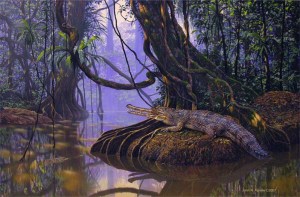 Tomistoma schlegeli "Tomistoma schlegeli" The painting that resulted from our expedition to Borneo. See my website for purchasing prints or the original to benifit Tomsitoma research.