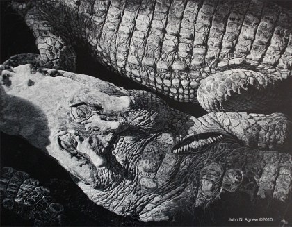 Crocodile Dreams