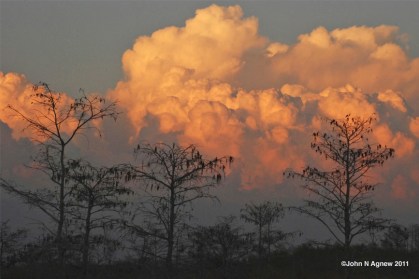Cypress-thunderheads