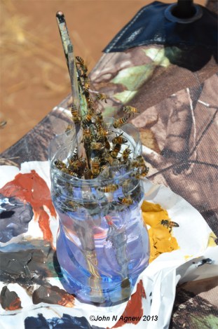 Bees in paintwater
