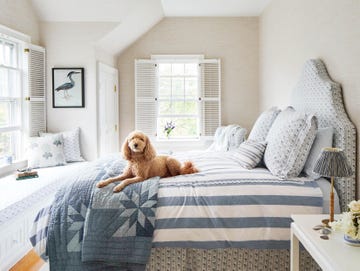 Cozy bedroom with a dog on the bed and decorative elements. Cozy bedroom with a dog on the bed and decorative elements.