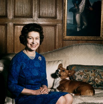 Queen Elizabeth II queen elizabeth ii