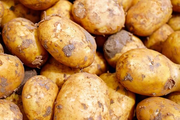 Potatoes | Foods That Store Well in Root Cellars