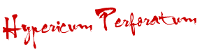 192 192