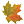 leaf leaf
