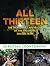 All Thirteen: The Incredible Cave Rescue of the Thai Boys' Soccer Team