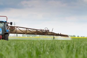 Pierre Rustin explique les raisons pour lesquelles il réclame, avec d’autres chercheurs, la suspension de l’utilisation des fongicides dans l’agriculture.