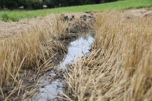 Alors que l’humidité des sols est revenue globalement à la normale, les nappes phréatiques, qui représentent les deux tiers de la production d’eau potable, ne se remplissent pas suffisamment, malgré la pluie.