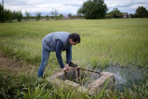 Dans la zone agricole entourant le canal d’Urgell (Espagne), l’eau restera garantie pour le bétail et les arbres fruitiers. Ici à Lérida, le 25 avril.