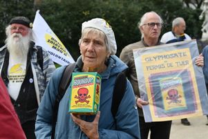 Une cinquantaine de manifestants se sont rassemblés vendredi 10 novembre 2023, à Angers, pour réclamer le non-renouvellement de l’autorisation du glyphosate dans l’Union européenne.