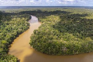 France, French Guiana, Saint-Laurent-du-Maroni, aerial view of the Amazon rainforest and the Mana river (aerial view) (Photo by BRUSINI Aurélien / hemis.fr / hemis.fr / Hemis via AFP)