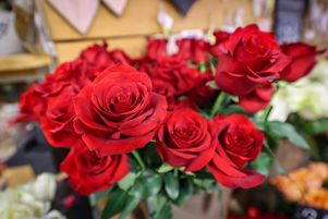 Dans chacun des 15 bouquets analysés par l’UFC Que-Choisir, 7 à 46 résidus de pesticides différents ont été retrouvés, dont certains sont considérés comme perturbateurs endocriniens, cancérigènes ou toxiques pour la reproduction.