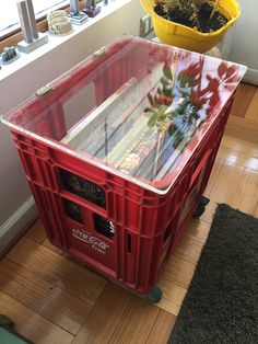 a red crate sitting on top of a hard wood floor next to a potted plant
