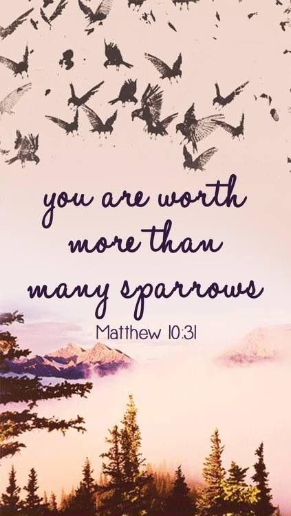 You are worth more than many sparrows. Bible quotes on PictureQuotes.com.