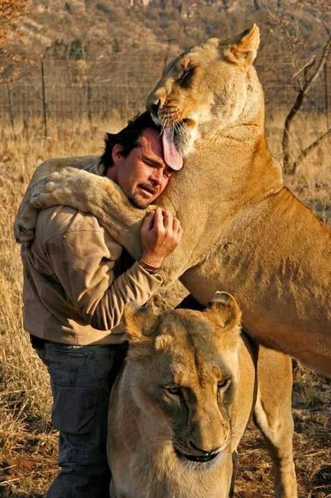 “@1313Sea: @Roozkwt1 @denise_bourassa @Lily__lou @t__lou pic.twitter.com/BOaVwLqN3a”