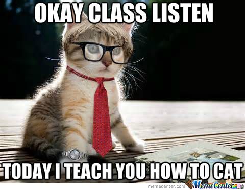 Meme Center - Largest Creative Humor Community | Funny animal memes, Funny animal pictures, Cat memes