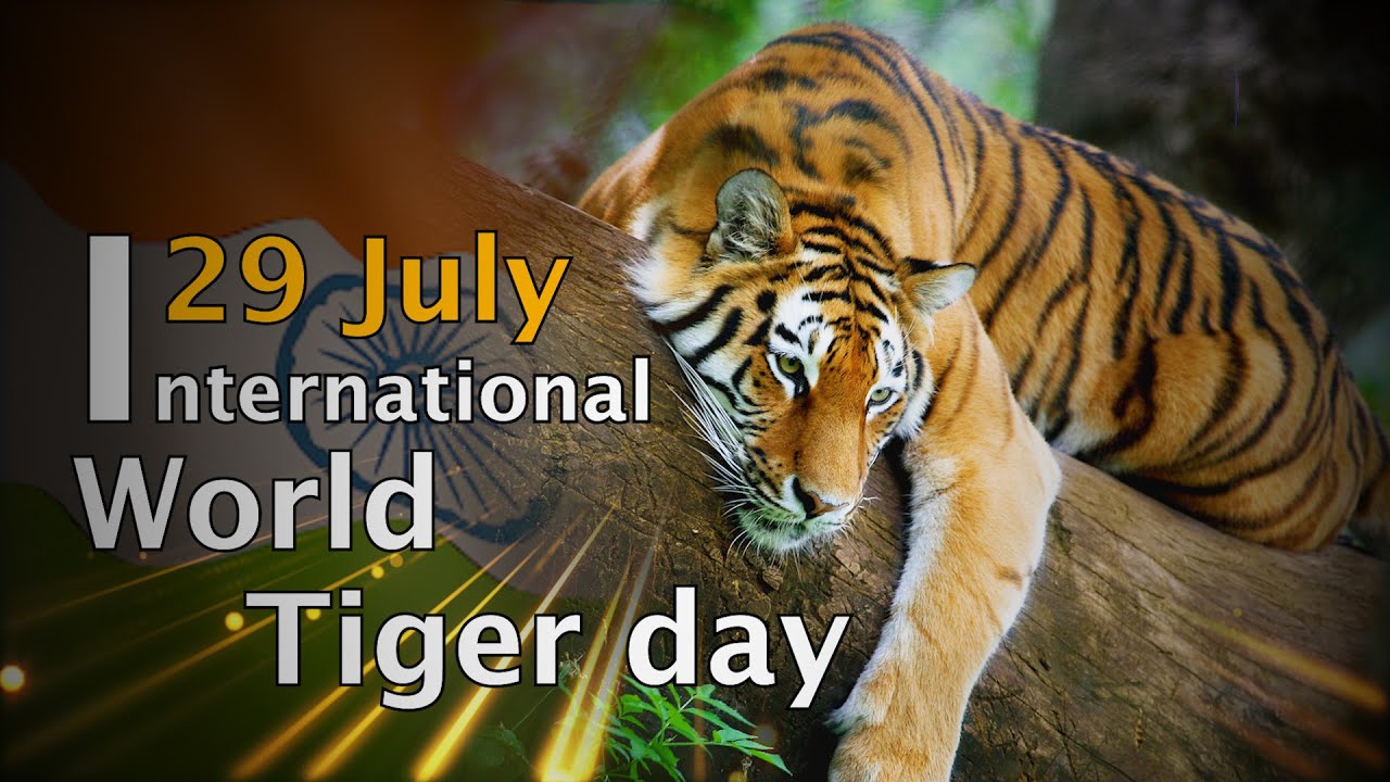 Global Tiger Day, also known as International Tiger Day, is an annual event celebrated on July 29 to promote awareness for tiger conservation. : r/Tenere