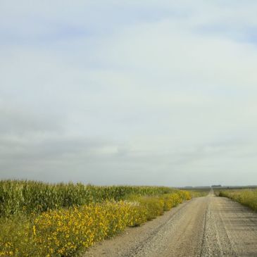 Backroads Country