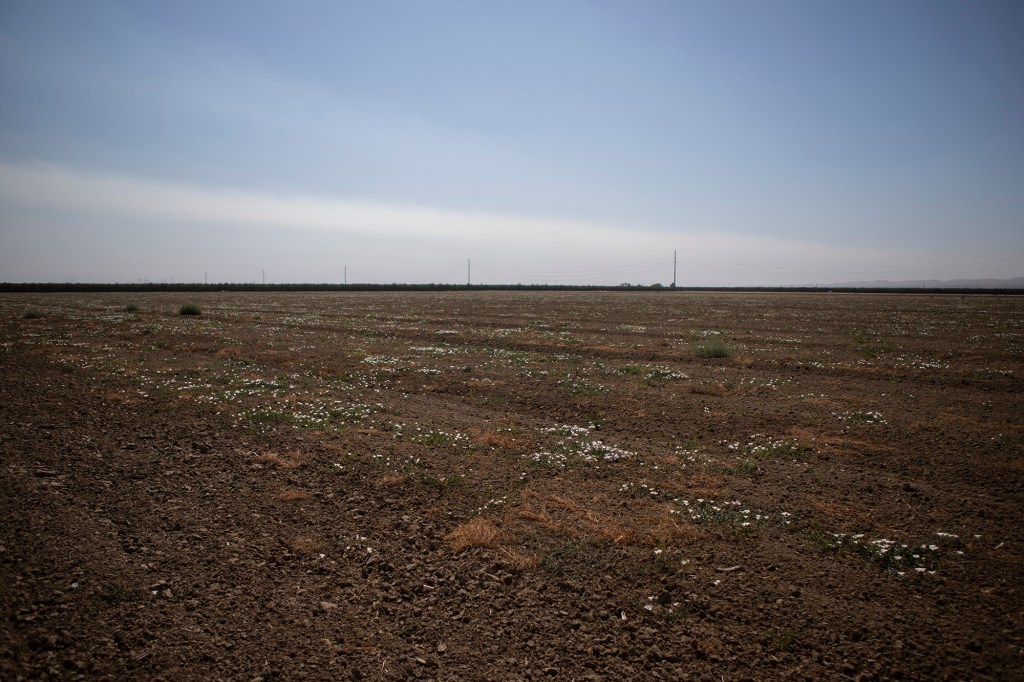 A ground-level view of a fallow agricultural field on a sunny day with rows of power lines throughout the horizon in the distance.