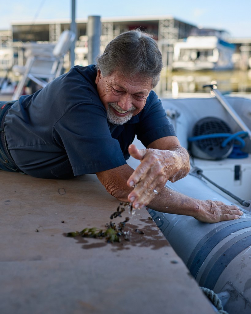 A person lying on the edge of a dock as they drop a handful of golden mussels that they removed from a nearby boat.