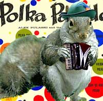 polka squirrel