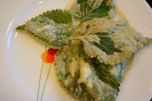tempura perilla leaves