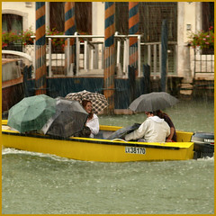 raining cats & dogs...