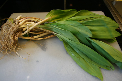 ramps!