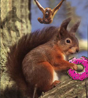 squirrel donut bigfoot orangutan