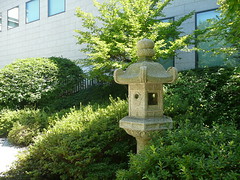 Japanese garden