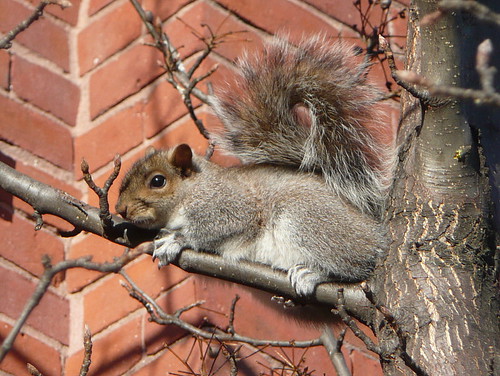 Gratuitous cuteness