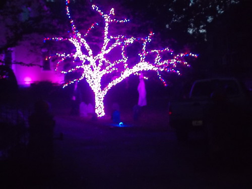 Halloween Tree by Rootchopper