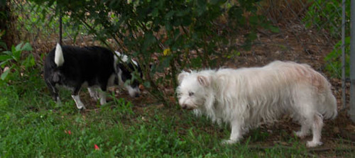 Mabel Meets With Top Advisor, Duff Rove