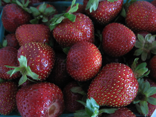 Gaviota strawberries from the Santa Monica Farmer's Market