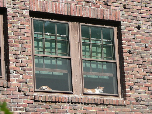 Why can't we go walking, too?