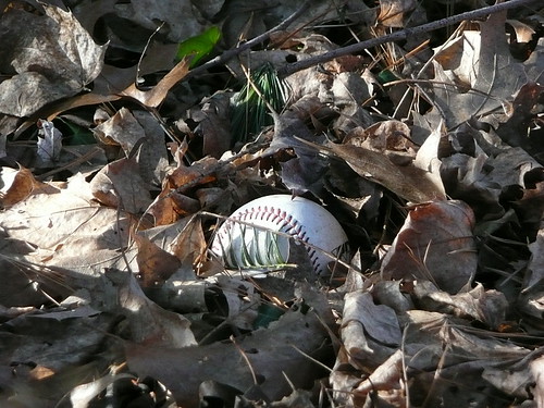 Spring training